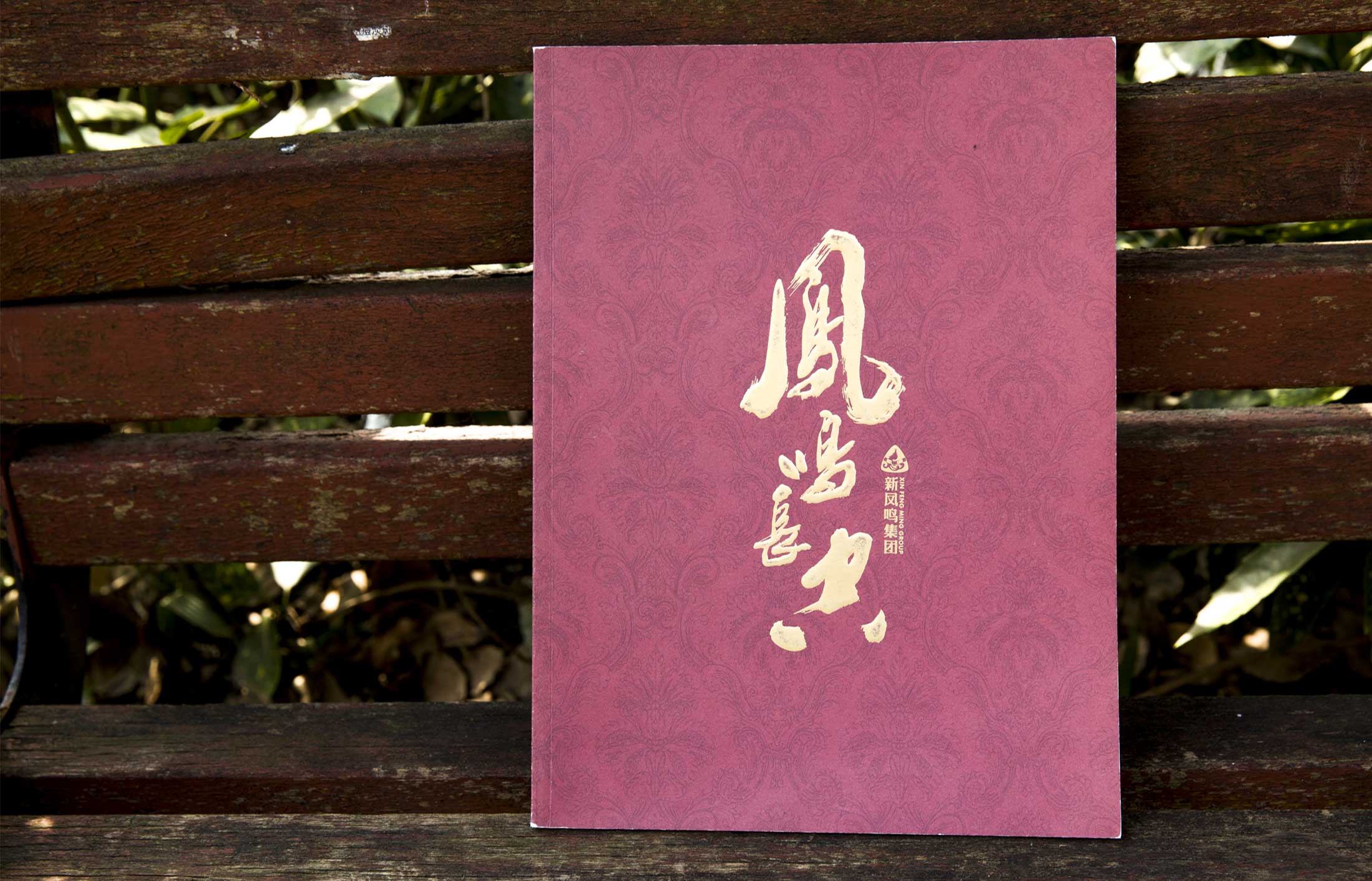 新鳳鳴集團(tuán)畫(huà)冊(cè)